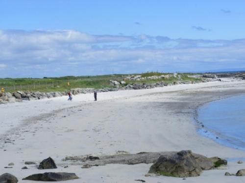 An Crann Glas Galway Exteriör bild